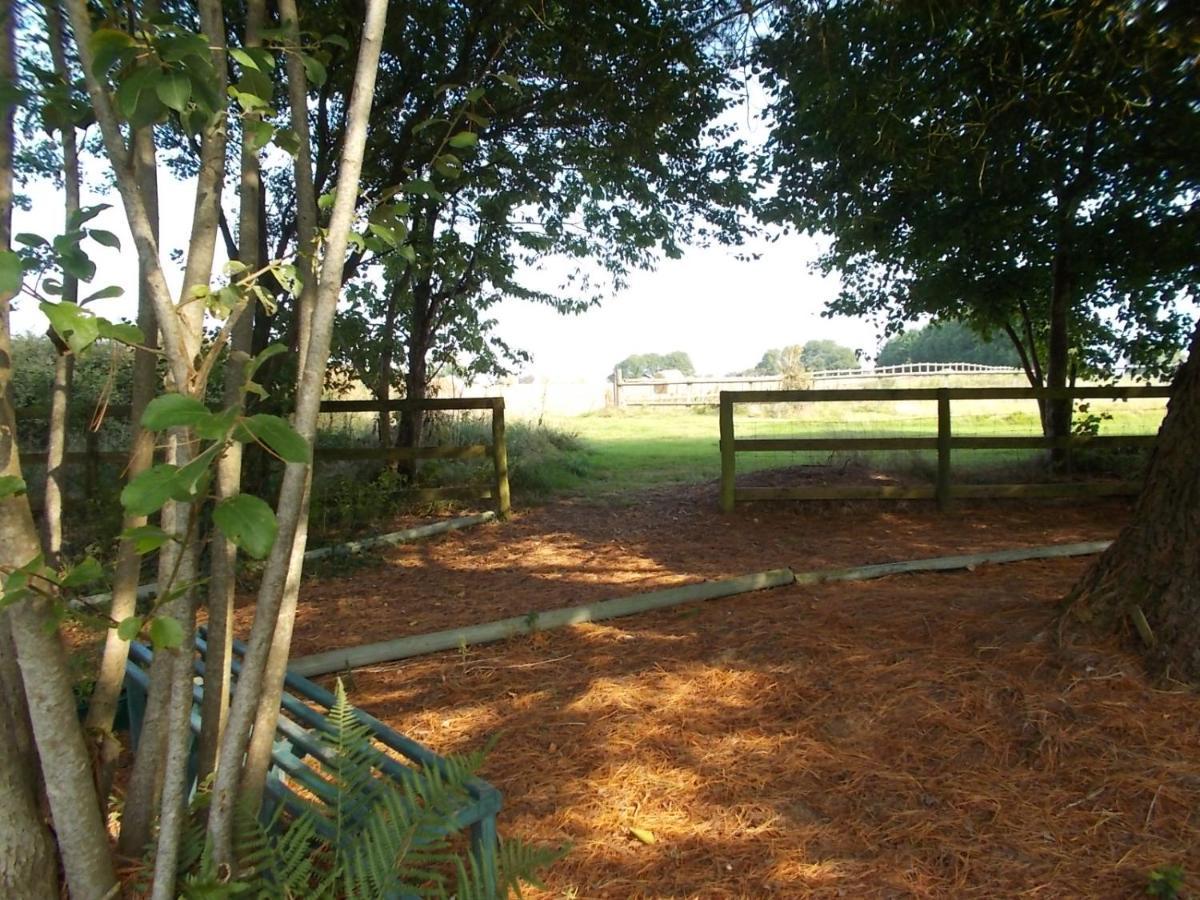 Tudor Lodge With Pool & Bbq Cabin Liskeard Exterior foto